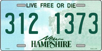 NH license plate 3121373