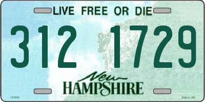 NH license plate 3121729