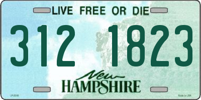 NH license plate 3121823