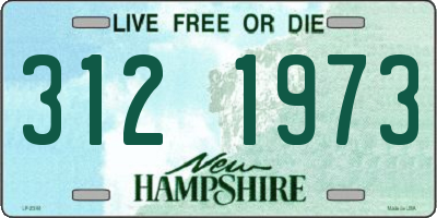 NH license plate 3121973