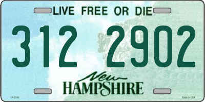 NH license plate 3122902
