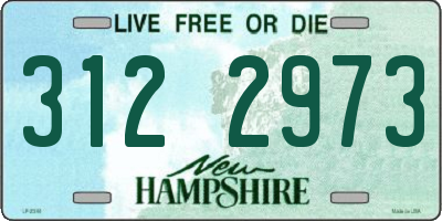 NH license plate 3122973