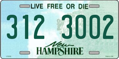 NH license plate 3123002