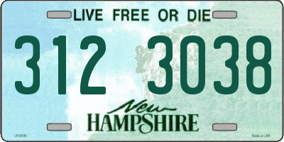 NH license plate 3123038