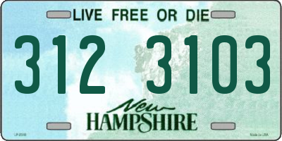 NH license plate 3123103