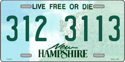 NH license plate 3123113