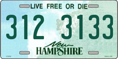 NH license plate 3123133