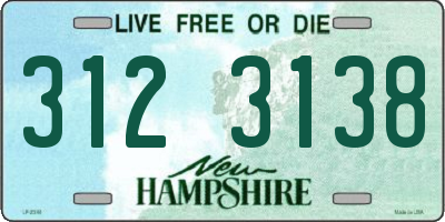 NH license plate 3123138