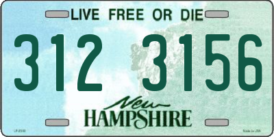 NH license plate 3123156