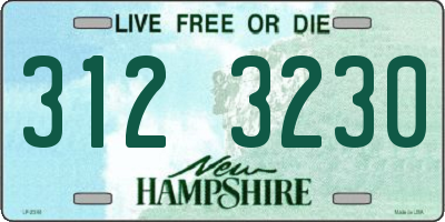 NH license plate 3123230