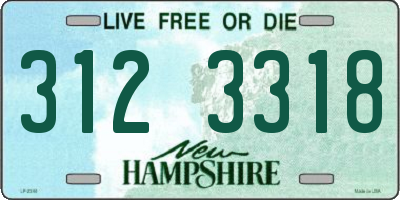 NH license plate 3123318