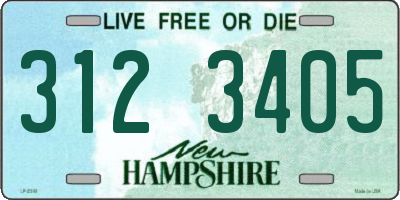 NH license plate 3123405