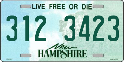 NH license plate 3123423