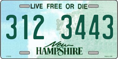 NH license plate 3123443