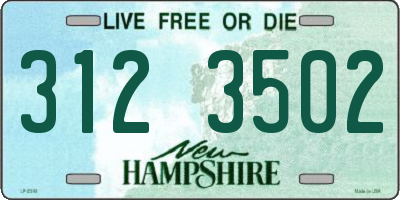 NH license plate 3123502