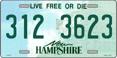 NH license plate 3123623