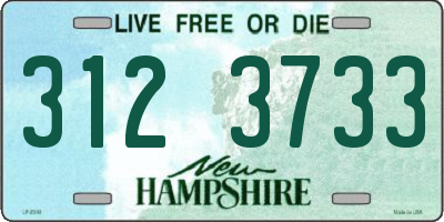 NH license plate 3123733