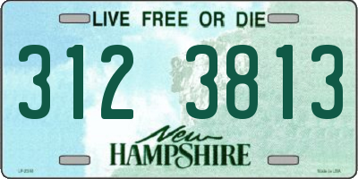 NH license plate 3123813