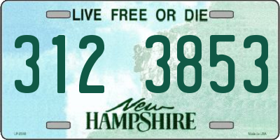 NH license plate 3123853