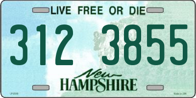 NH license plate 3123855