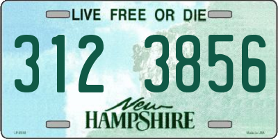 NH license plate 3123856