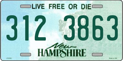 NH license plate 3123863