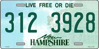 NH license plate 3123928