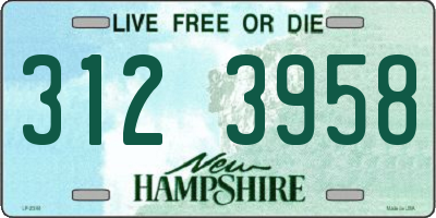 NH license plate 3123958