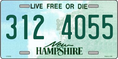 NH license plate 3124055