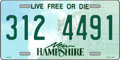 NH license plate 3124491