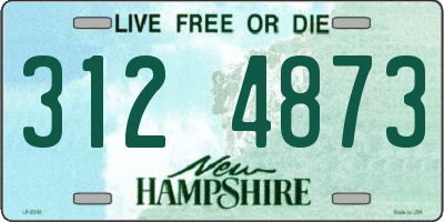 NH license plate 3124873