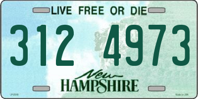 NH license plate 3124973