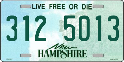 NH license plate 3125013