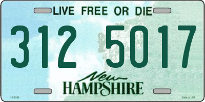 NH license plate 3125017