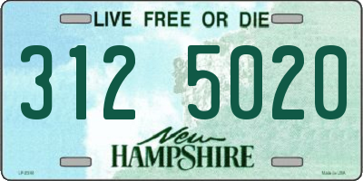 NH license plate 3125020