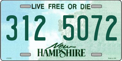 NH license plate 3125072