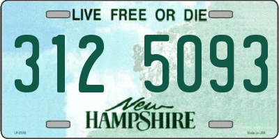 NH license plate 3125093