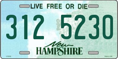 NH license plate 3125230