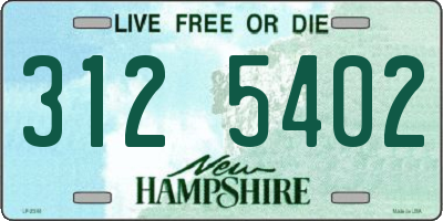 NH license plate 3125402