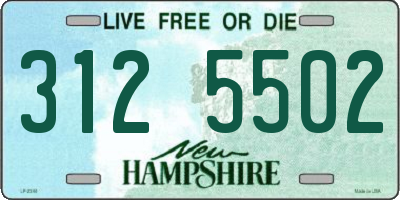 NH license plate 3125502