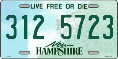 NH license plate 3125723