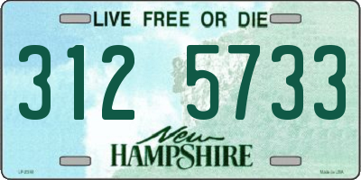 NH license plate 3125733