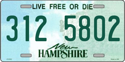 NH license plate 3125802