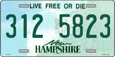 NH license plate 3125823