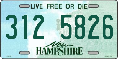 NH license plate 3125826