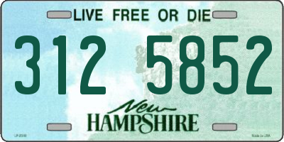 NH license plate 3125852