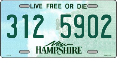 NH license plate 3125902