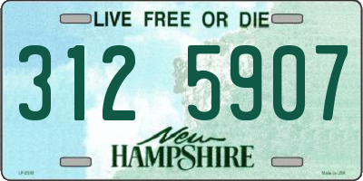 NH license plate 3125907
