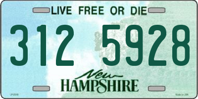 NH license plate 3125928