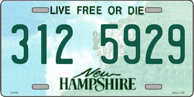 NH license plate 3125929